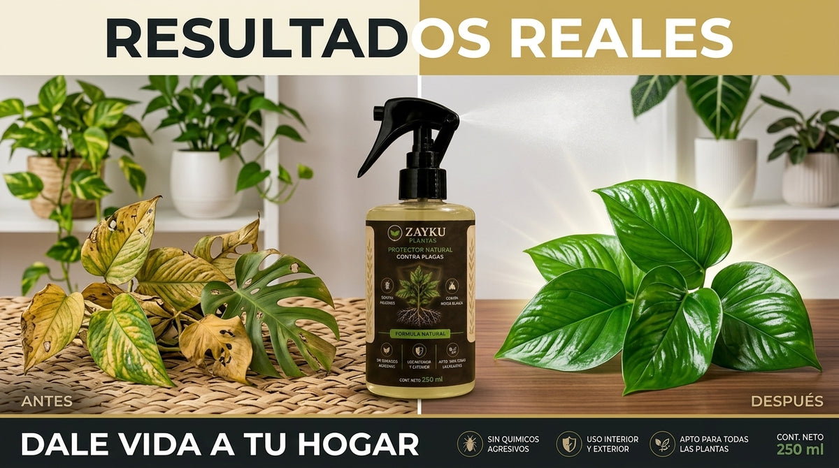 Spray Anti Plagas Zayku
