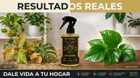 Spray Anti Plagas Zayku