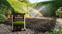 Semillas para Pasto Zayku