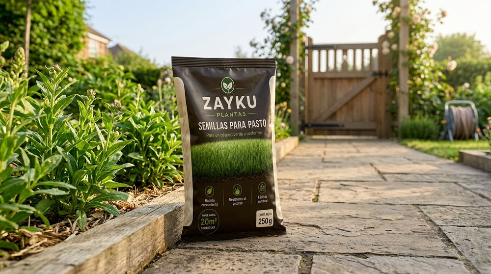 Semillas para Pasto Zayku