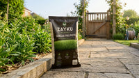 Semillas para Pasto Zayku