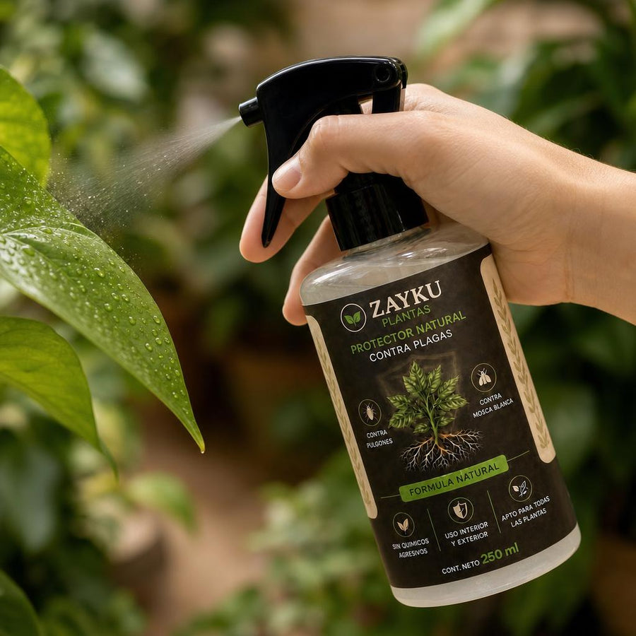 Aplicando el spray Zayku sobre una hoja